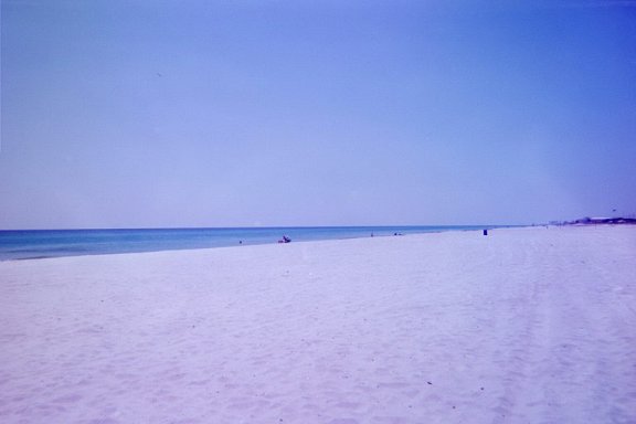 A pitifully beautiful beachscape.